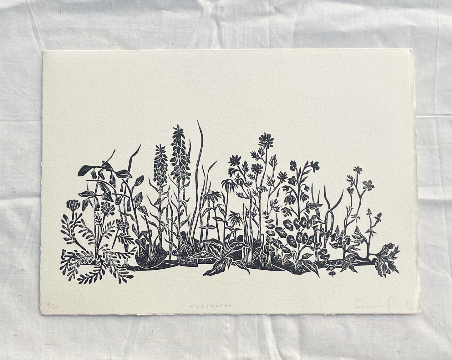 Overgrown Mini