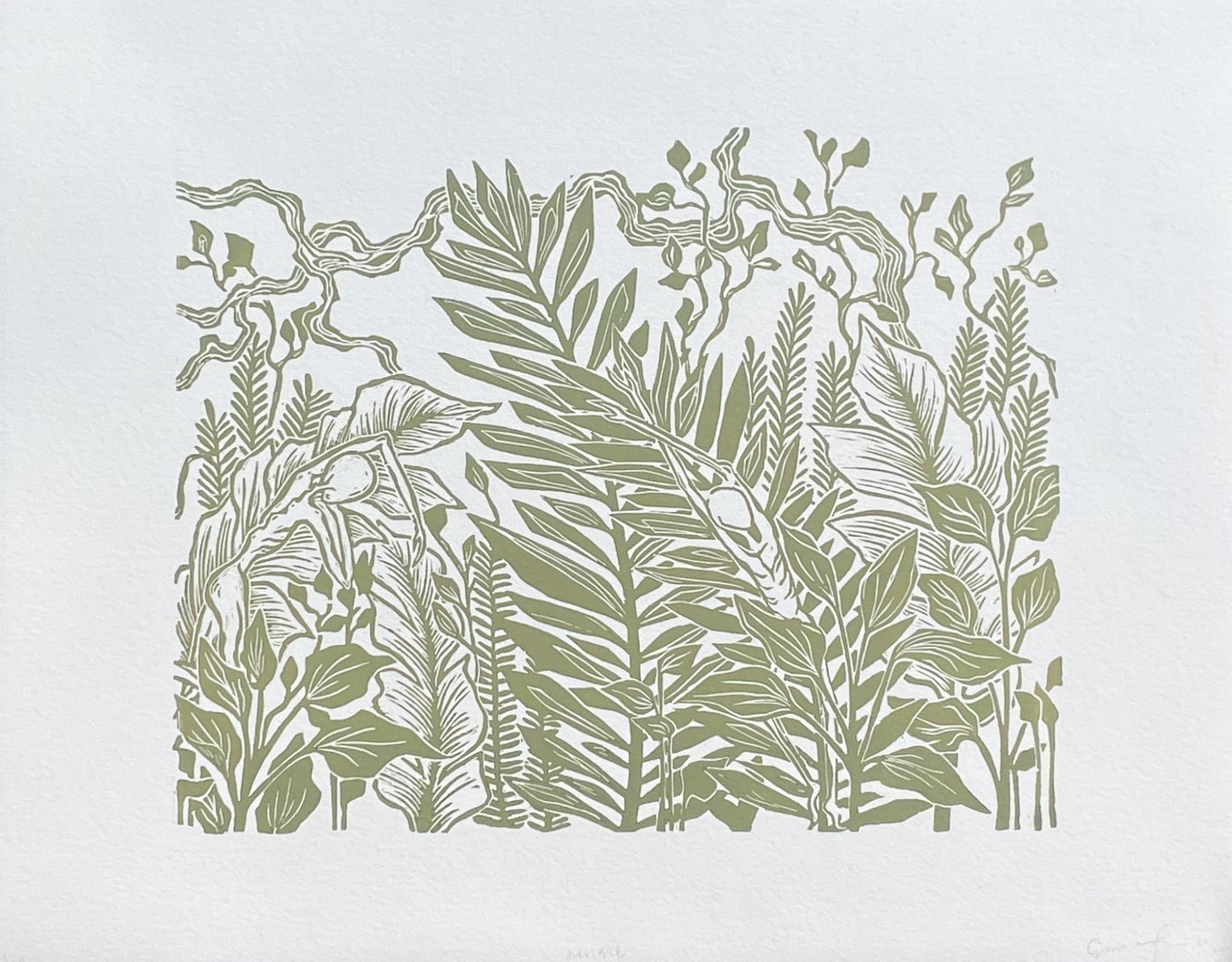 Jungle