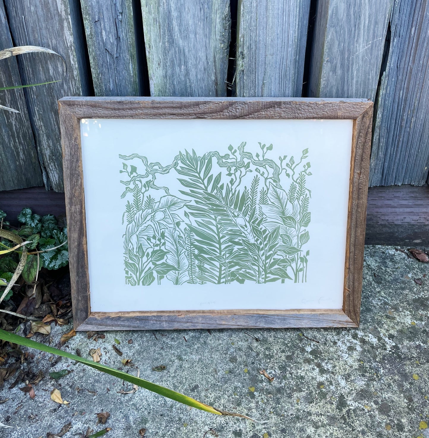 Jungle
