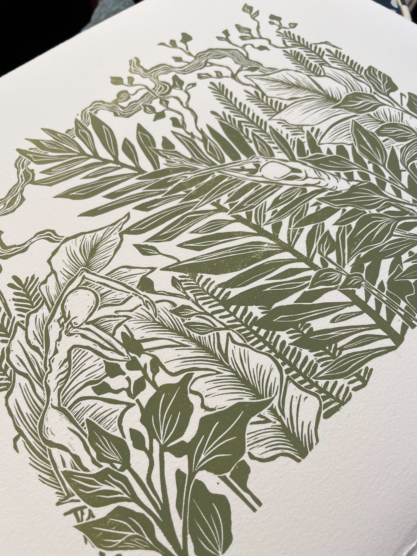 Jungle