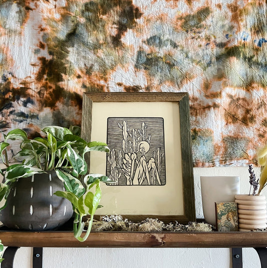 Euphorbia