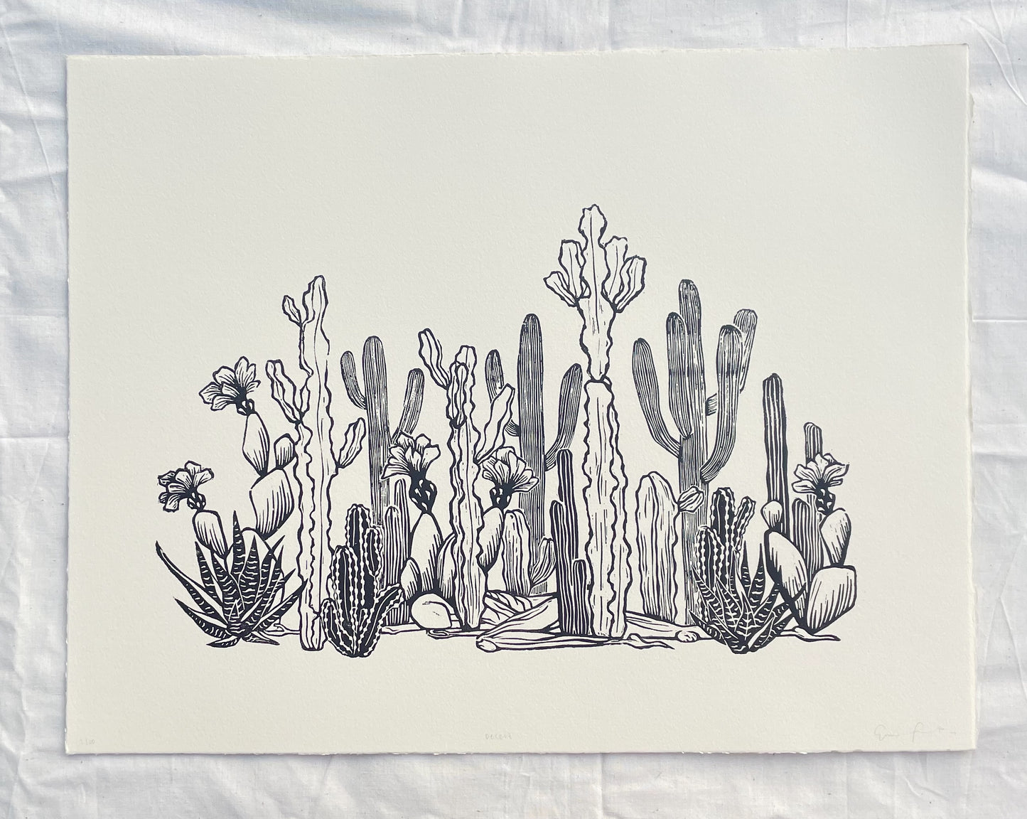 Desert